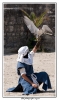 20090714-DBA_8265_copie.jpg