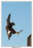 20090714-DBA_8325_copie.jpg