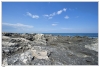 20100411-VSM_7807.jpg