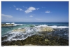 20100411-VSM_7813.jpg